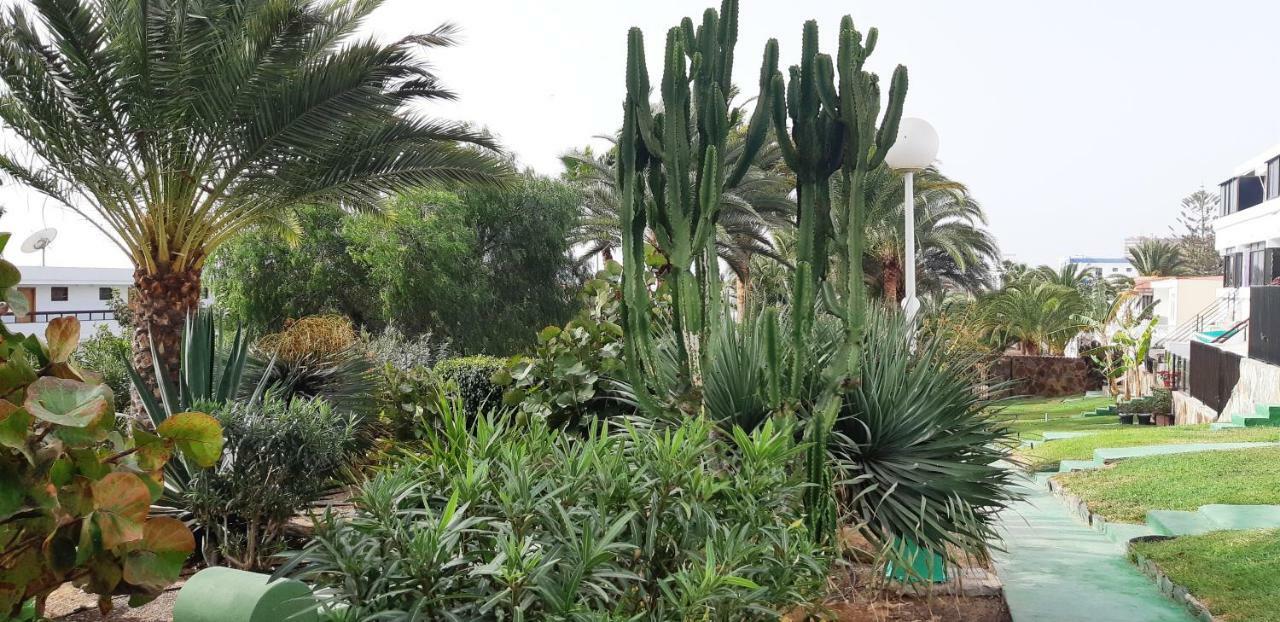 Heliopolis Διαμέρισμα San Agustín Εξωτερικό φωτογραφία